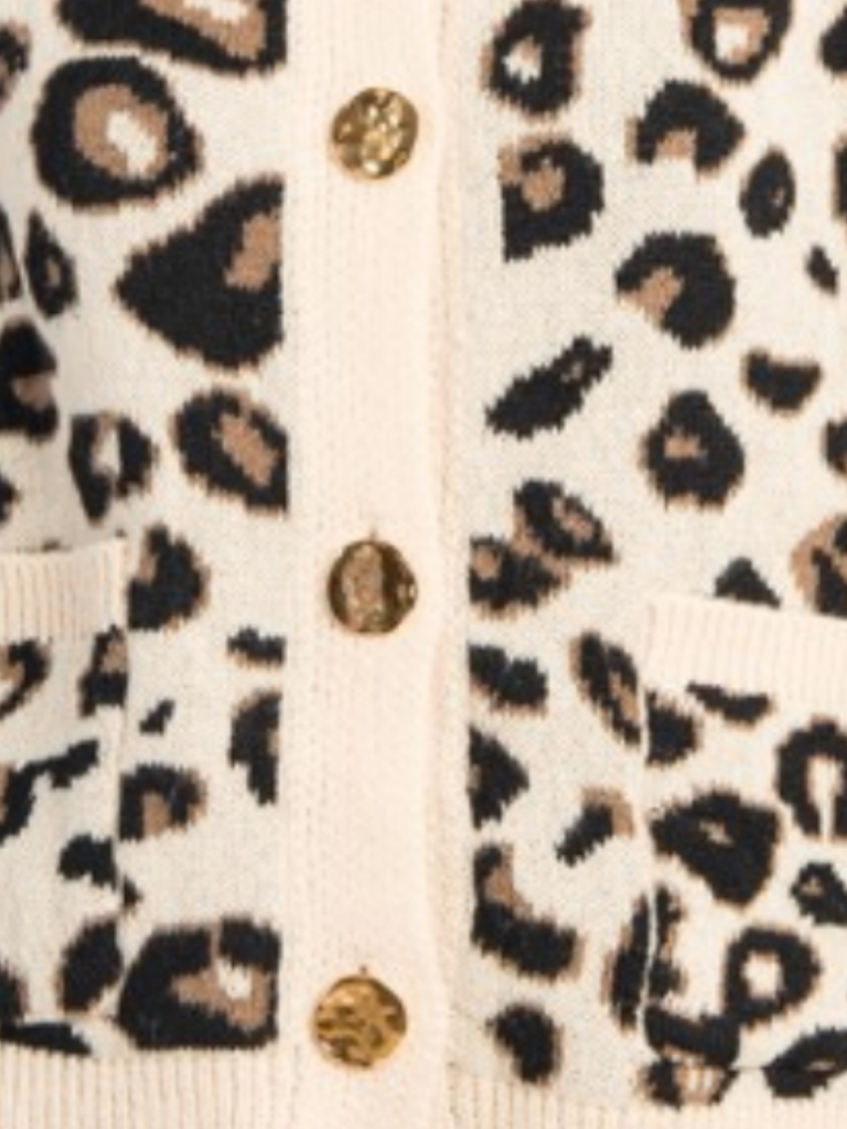 Chunky Cheetah Sweater