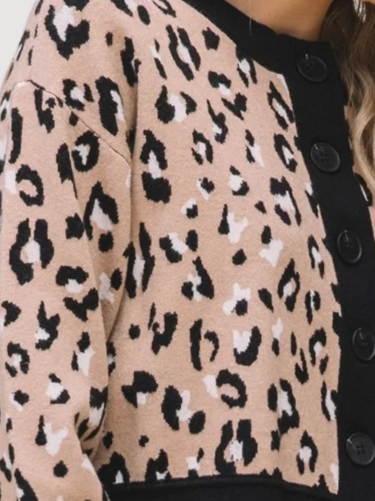 Leopard Knit Sweater